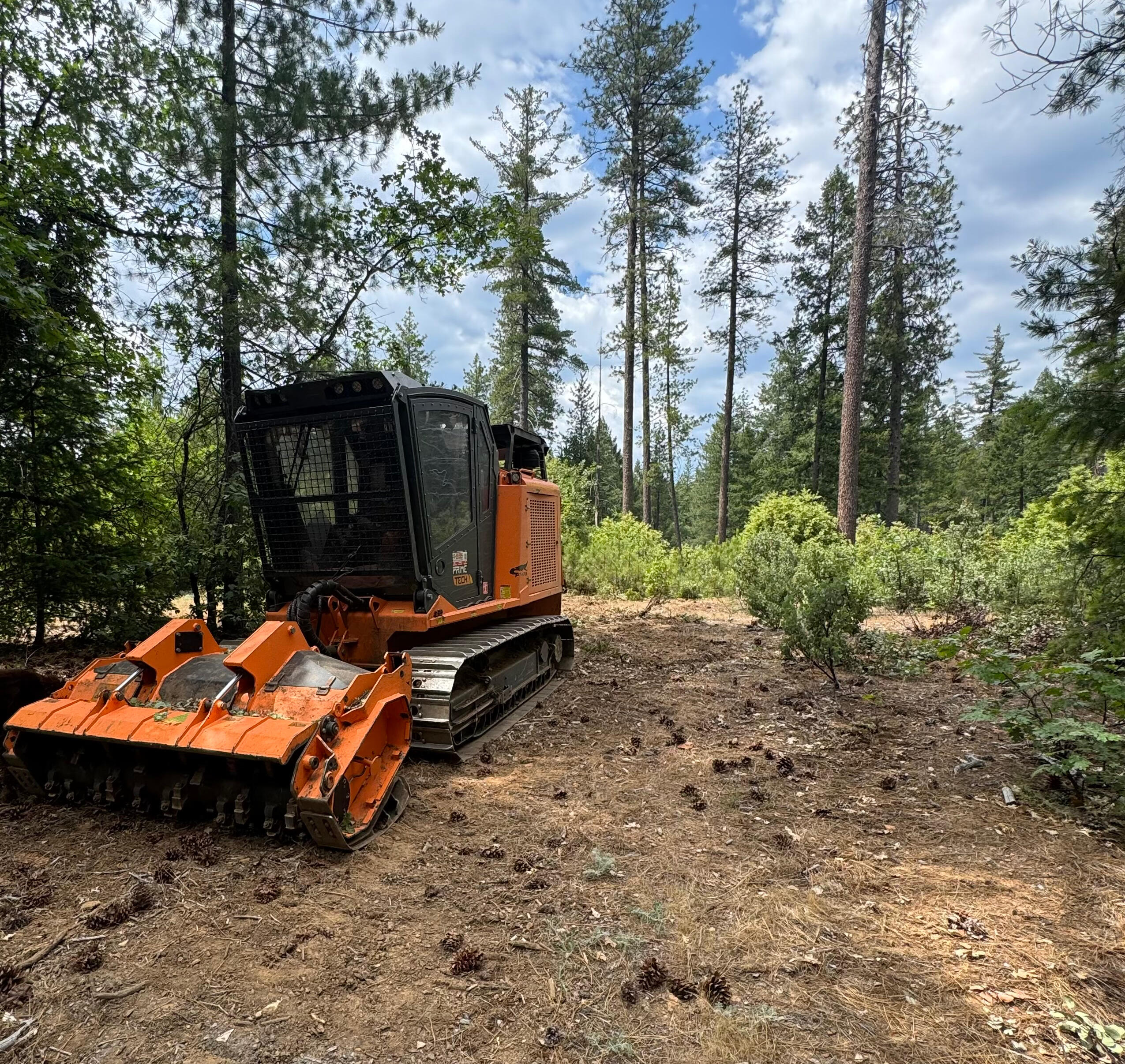 SIERRA LAND CLEARING LLC